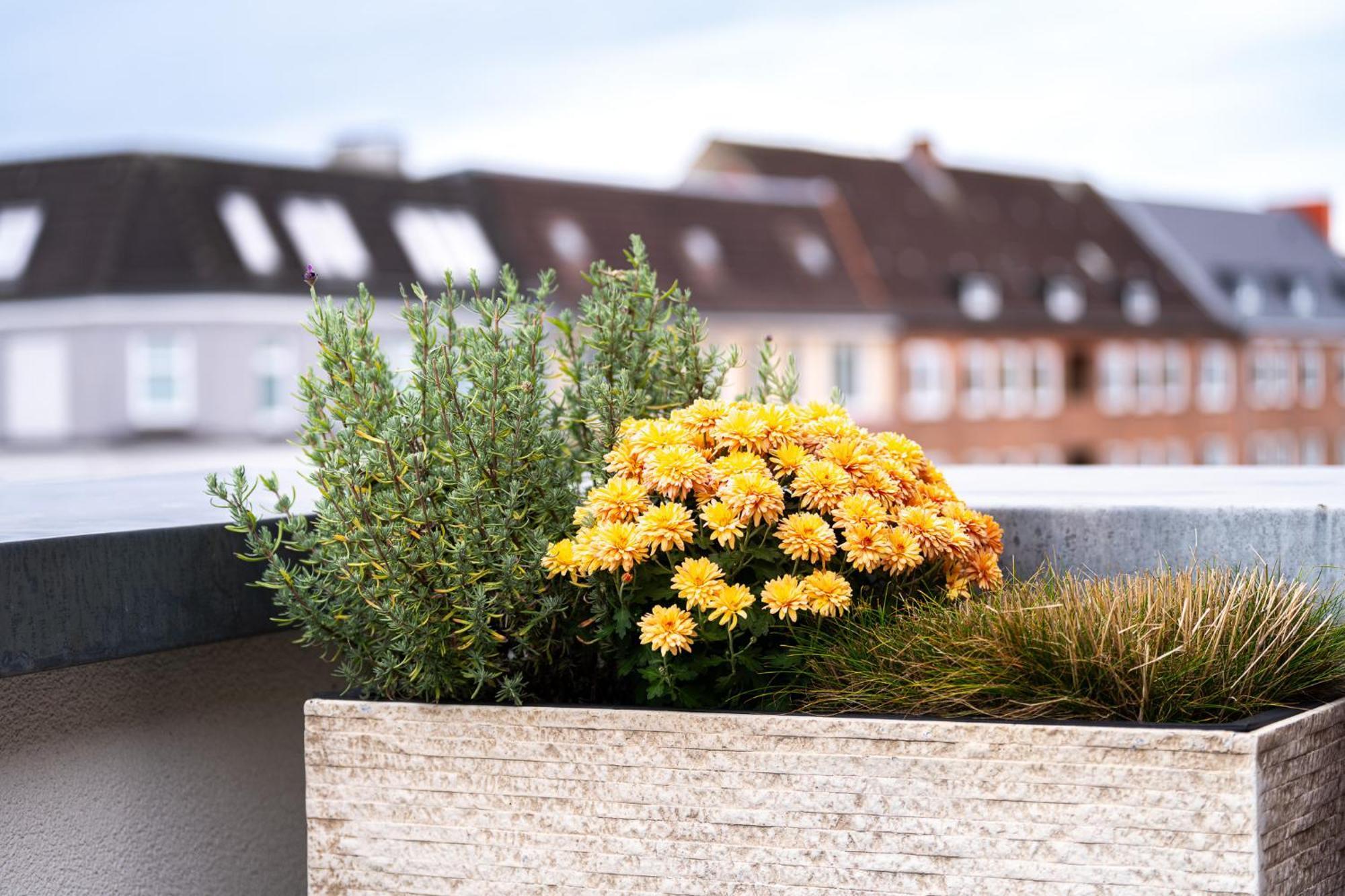 Ferienwohnung Foerdeterrasse Nahe Kiellinie Luaran gambar